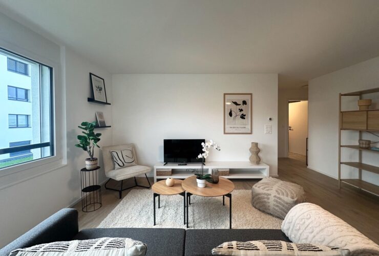 Magnfique appartement meublé