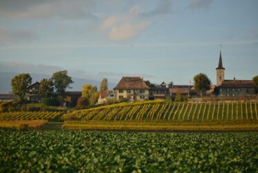 Magnifique villa individuelle à Lavigny