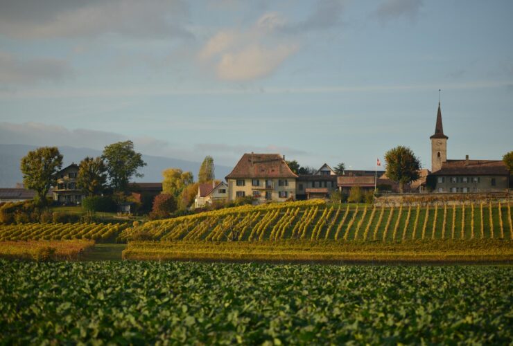 Magnifique villa individuelle à Lavigny