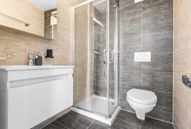 Magnifique appartement à Rivaz