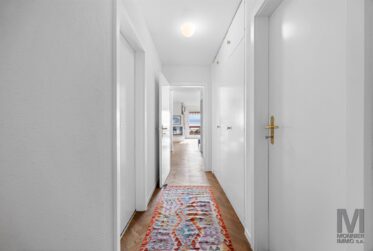 Magnifique 5.5 pièces avec vue lac