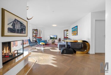 Magnifique 5.5 pièces avec vue lac