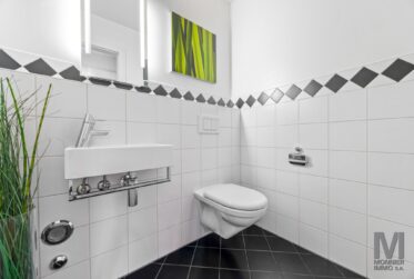 Magnifique duplex de 7.5 pièces avec terrasse et jardin privatif à Pully