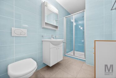Sublime 4,5 pièces à Lausanne (Quartier Bergières)
